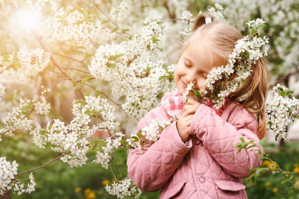 Menininha loira, vestindo um casaquinho rosa e usando maria-chiquinha, sorri de olhos fechados enquanto abraça um galho de árvore cheio de flores na primavera.